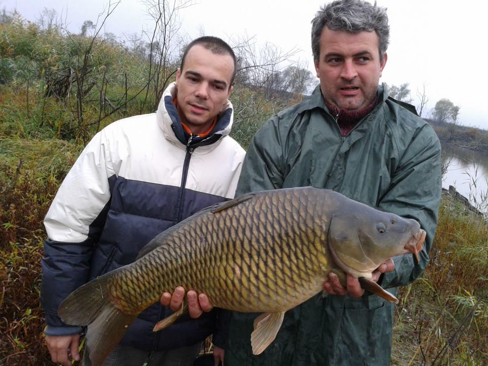 CONCURS LIKE-URI  - VOT PE FACEBOOK  - Valentin Vasilescu - Sibiu 